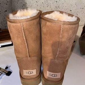 Chestnut colored Ugg’s , Size 7